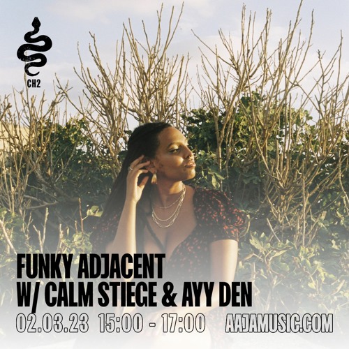 FUNKY ADJACENT with Calm Stiege & Ayy Den - Episode #8 (1/3/23)