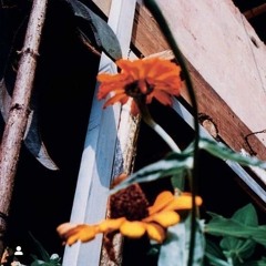 CAROLINE POLACHEK DOOR GLOCK REMIX