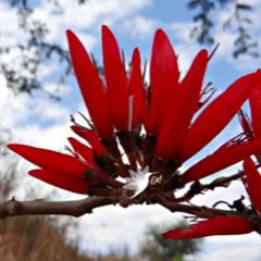 Winters Treasure, A #SaturdayShakeUp