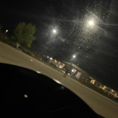 12 stout street freestyle