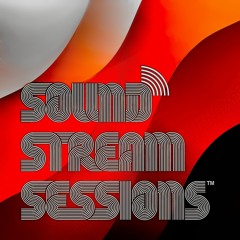 Guest Mix Vol. 16 (Seductive Abduction-J Martian B2B ShenaniKenz) Christmas 2020