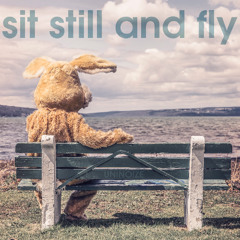 sit still and fly (dnb)