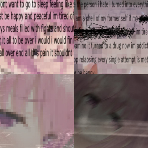 chronicles of mental breakdowns