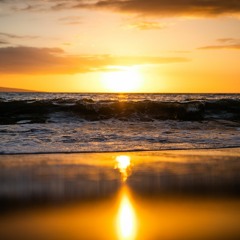 All the Waves (Unofficial)