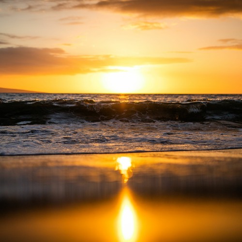 All the Waves (Unofficial)