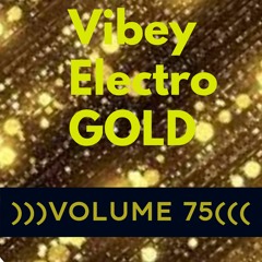 Vibey Electro GOLD )))VOLUME 75 (((