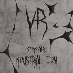 VOIT RECORDS - RELEASES