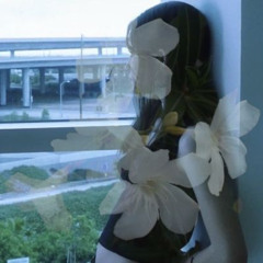 wilted roses p amina