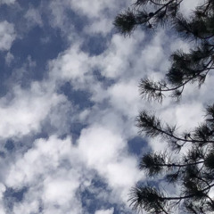 this is where I leave you demo