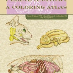 GET PDF EBOOK EPUB KINDLE Feline Anatomy: A Coloring Atlas by  Thomas O. McCraken,David Carlson,Anna