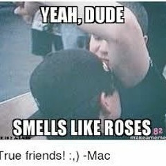 03 - Smell - The - Roses