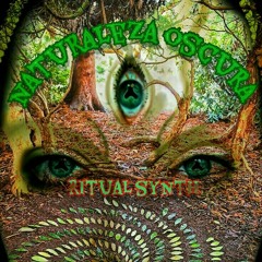 Naturaleza Oscura