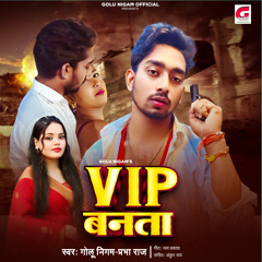 VIP Banata