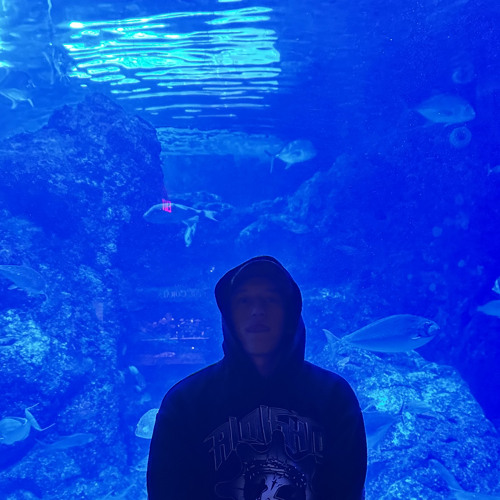 How it feels prod. rollie
