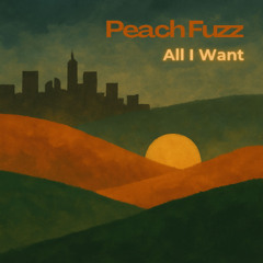 All I Want (Original mix)