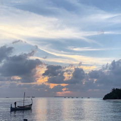 سورة العنكبوت عبدالرحمن مسعد