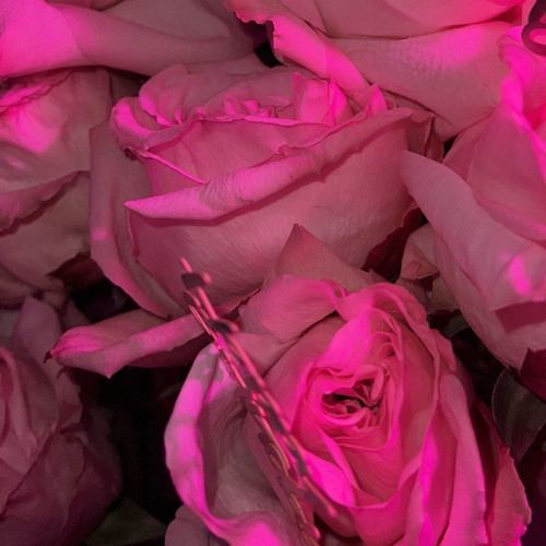 take me some place else