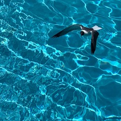 spending a little too much time on my phone.wav