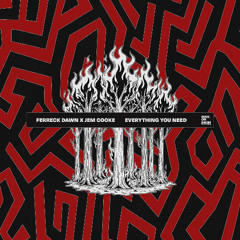 Ferreck Dawn & Jem Cooke - Everything You Need