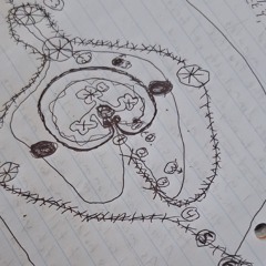 Music Is Math - Christian Matthew Holder