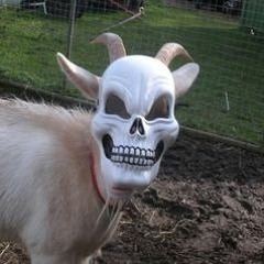 PROTOTYPE #1 DRD X HACKER