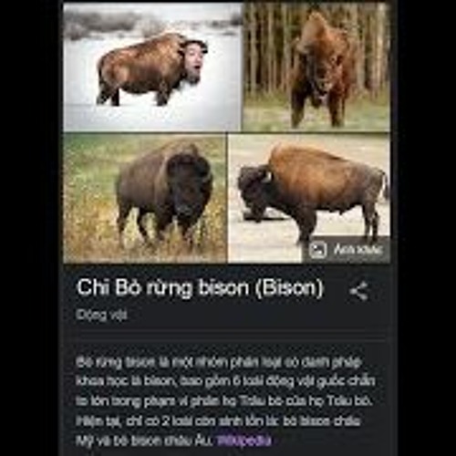 LẠI MẤT THỜI GIAN (Hazel diss rpt jasondilla)