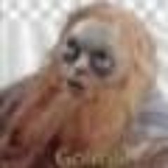 Blessed Be The Hard Times