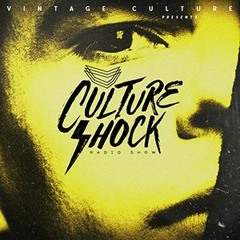 Vintage Culture - Culture Shock #076