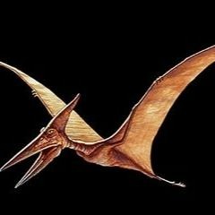 Pteranodon (preview)