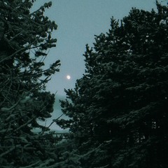 mzlff - новогодний