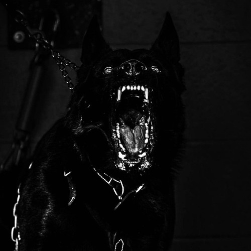 GRIM ft. BLANCO $ MR. SINBLAN