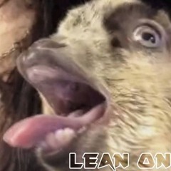 Major Lazer & DJ Snake - Lean On (feat. MØ) Screaming Sheep C Note Only by DJ Potato