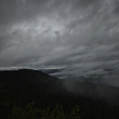 pills (secre x killedmyself)