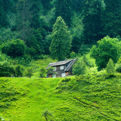 WEGONEBEOK TYPE BEAT (reptile x OK)