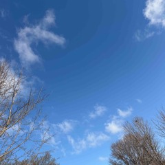 Mrripoff+9glokks-six(cutsix)