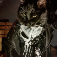 True King/The Fallen