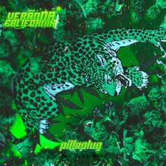 Pittaplug - Verão na Califórnia MIXTAPE