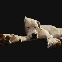 TRBMN, The Cars, Why Can't I Have You, 1985 (rec 25 03 15) Covers