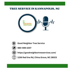 how-can-i-save-money-on-tree-removal-services-in-kannapolis-nc