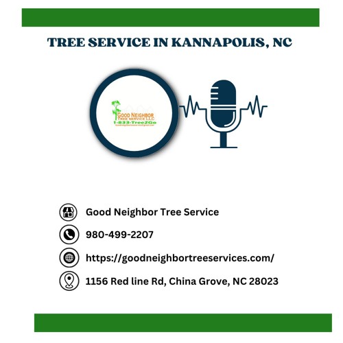 how-can-i-save-money-on-tree-removal-services-in-kannapolis-nc
