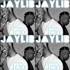 Jaylib J Dilla Madlib