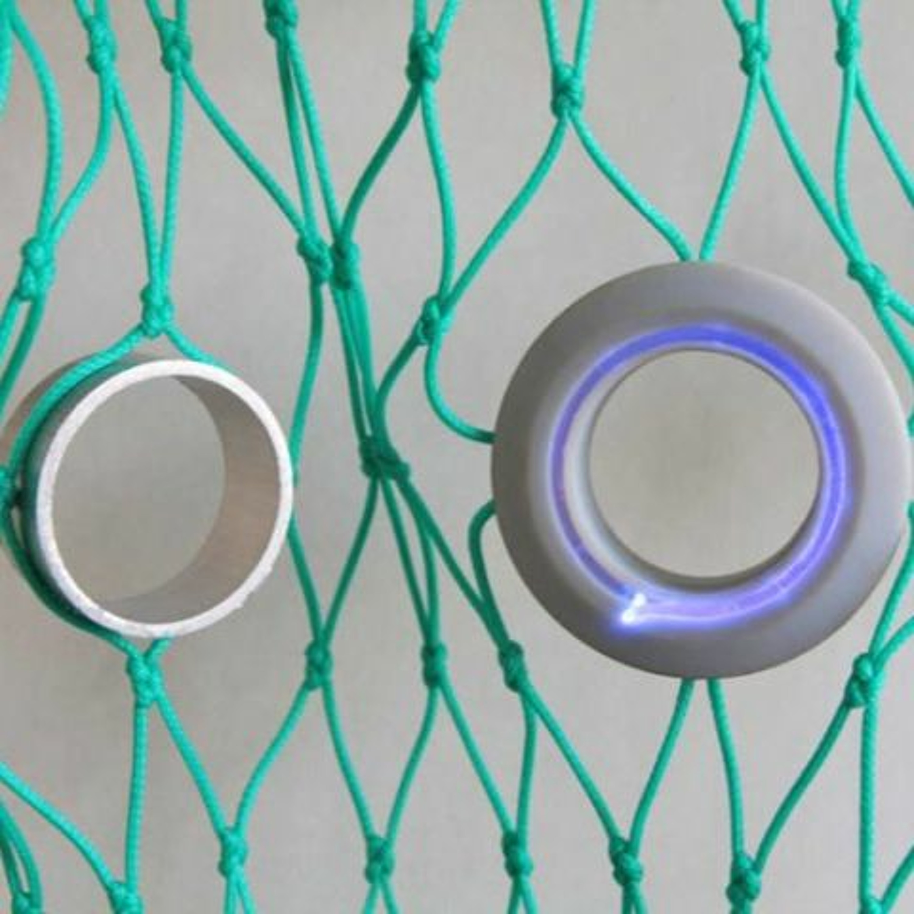 465- Aritificial Light Technology to Reduce Fish Bycatch with Daniel Watson (18.08.20) episode artwork