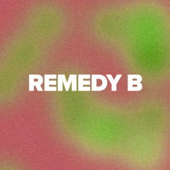 S29BTR7027 REMEDY B