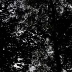 waitingonadimebagonpurplekush