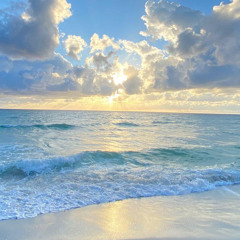 Feel The Sun