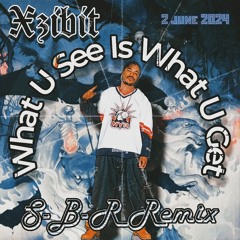Xzibit - What U See Is What U Get (S-B-R a.k.a CloudyMind Remix)