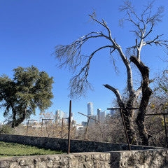 11:59 Recording - Volumes into the Void