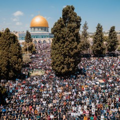 صلاة الوتر - ليلة 29 رمضان 2023 مع الشيخ محمد علي العباسي