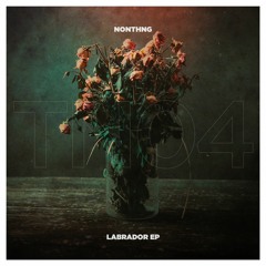 NONTHNG - The Modern Life