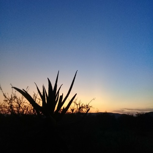 Udumo (Instrumental Version) [feat. Mbali Musa]